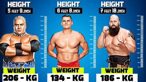 wwe height|female wrestlers height and weight.